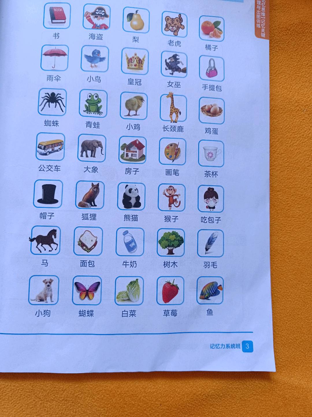 图像