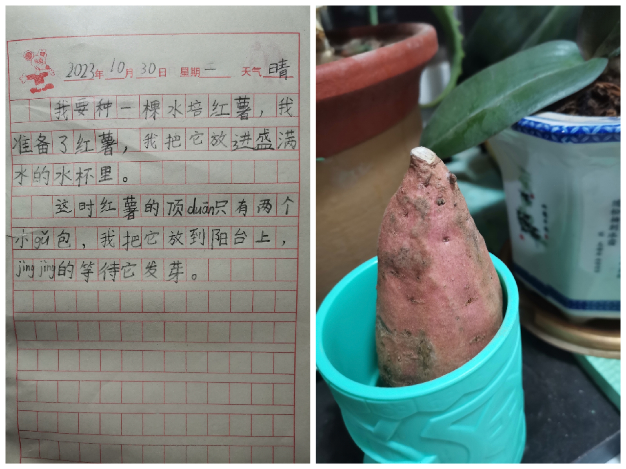 图像