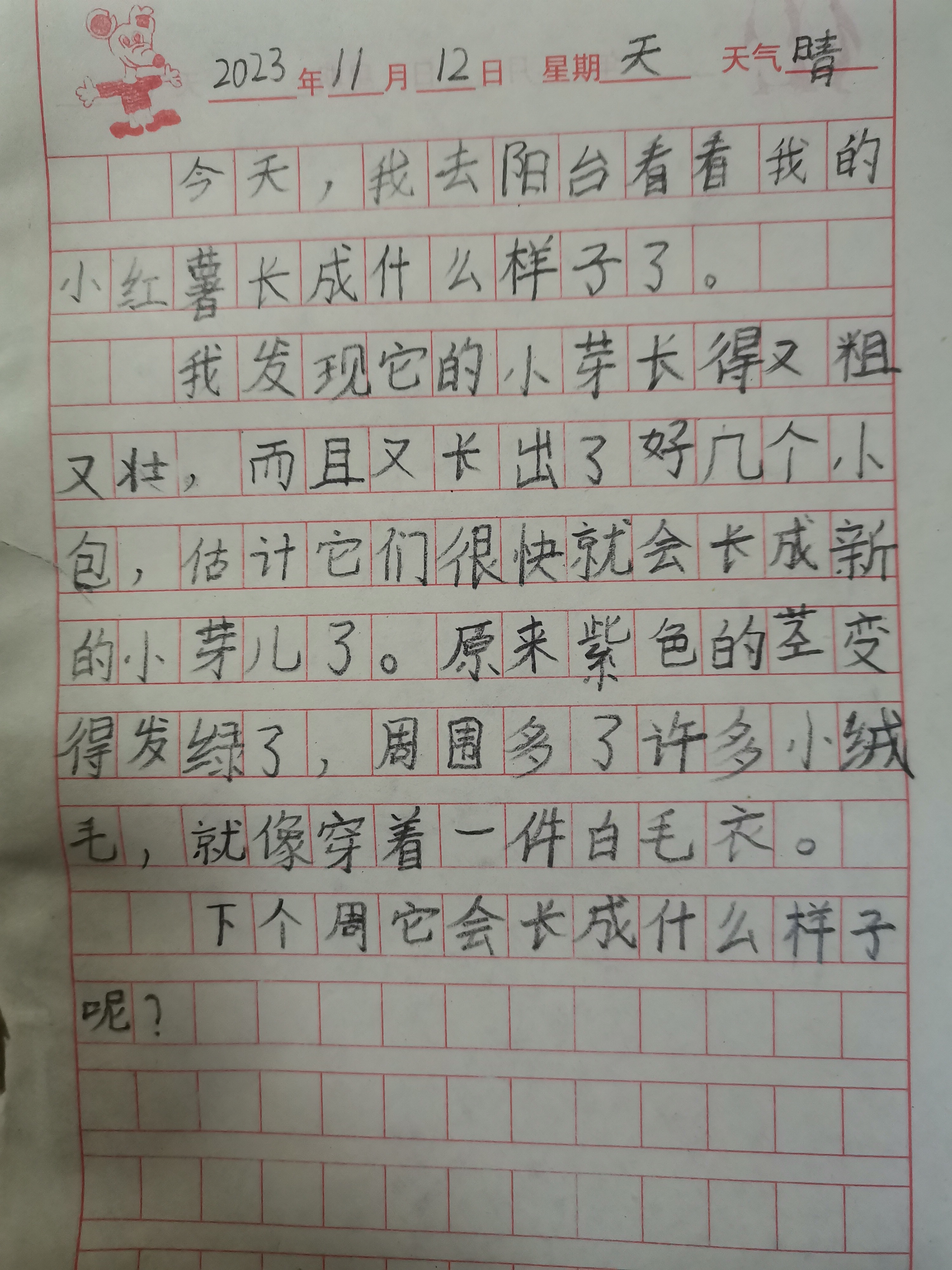 图像