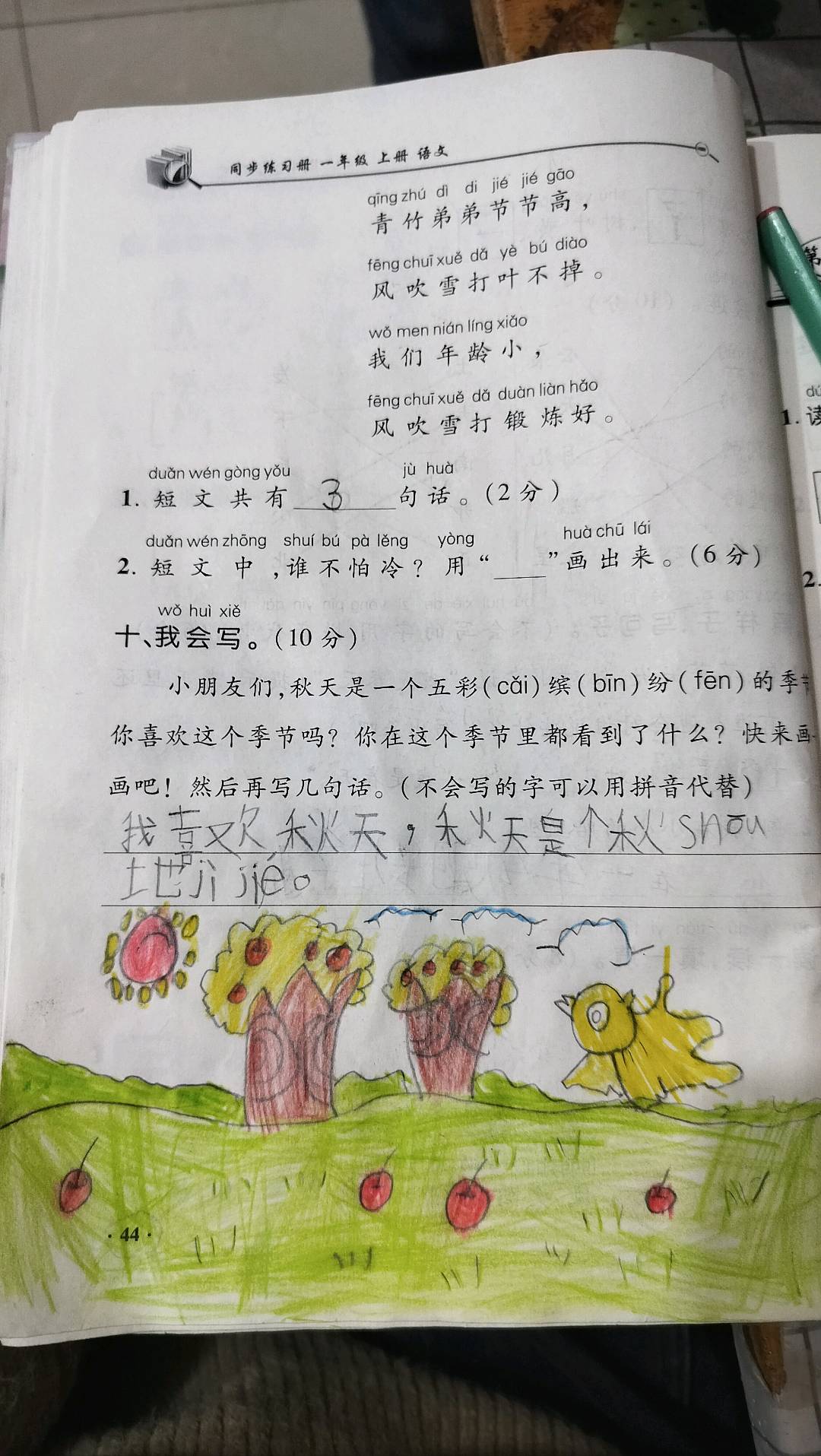 图像