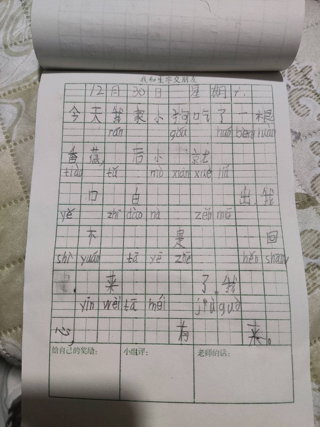 图像