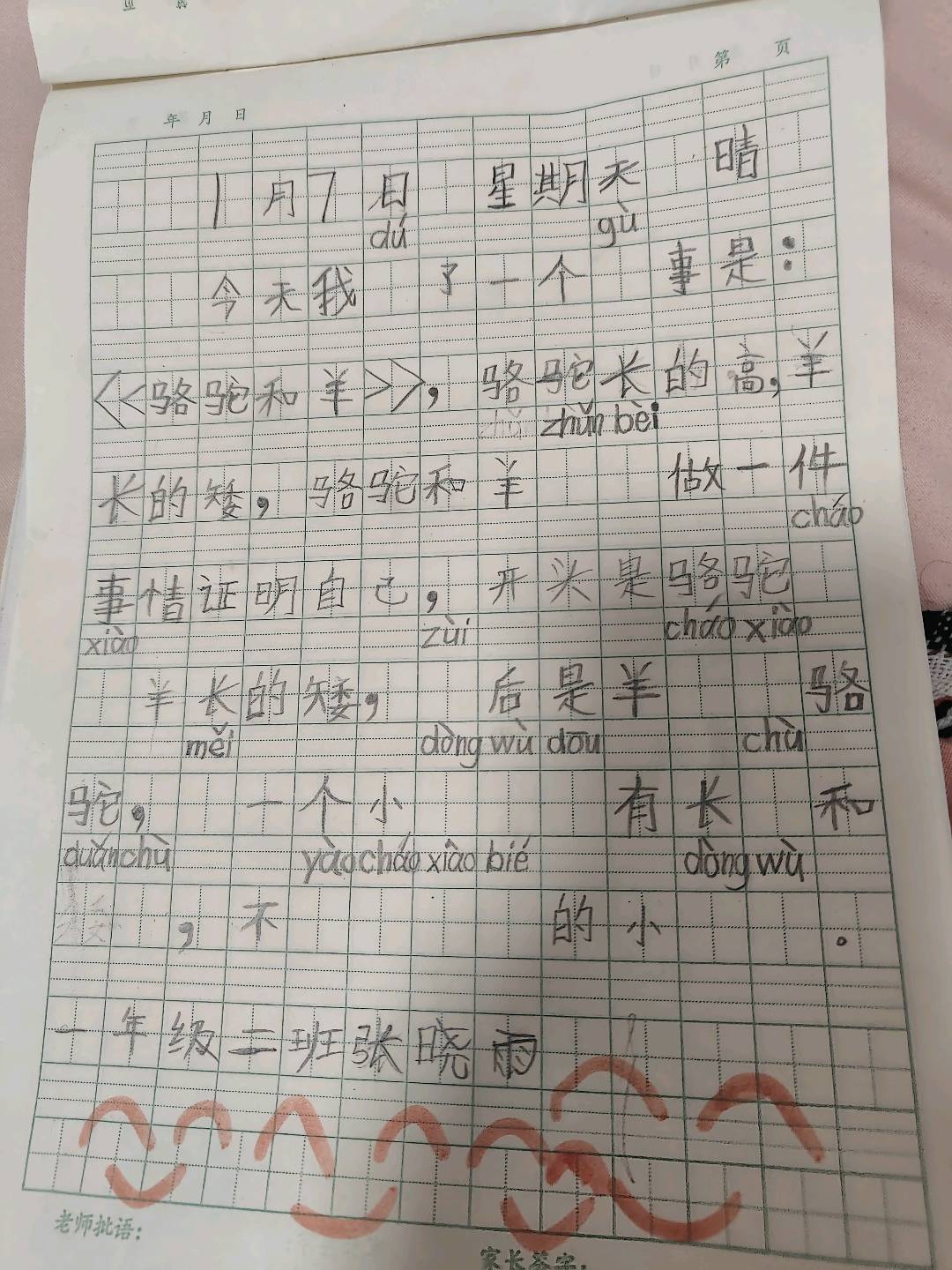 图像