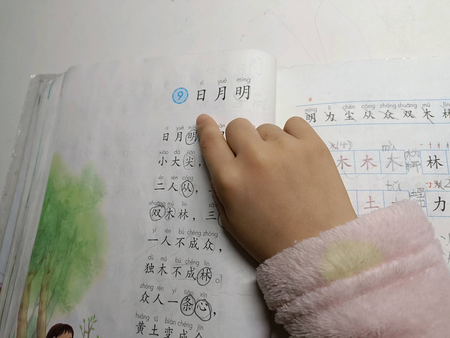 图像