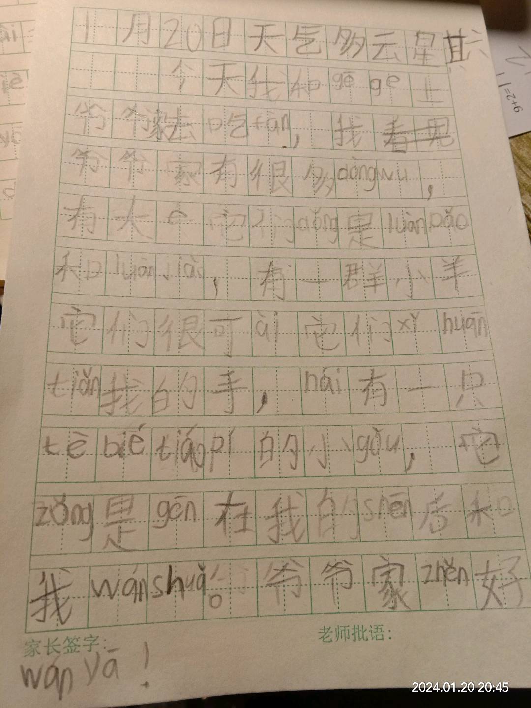 图像