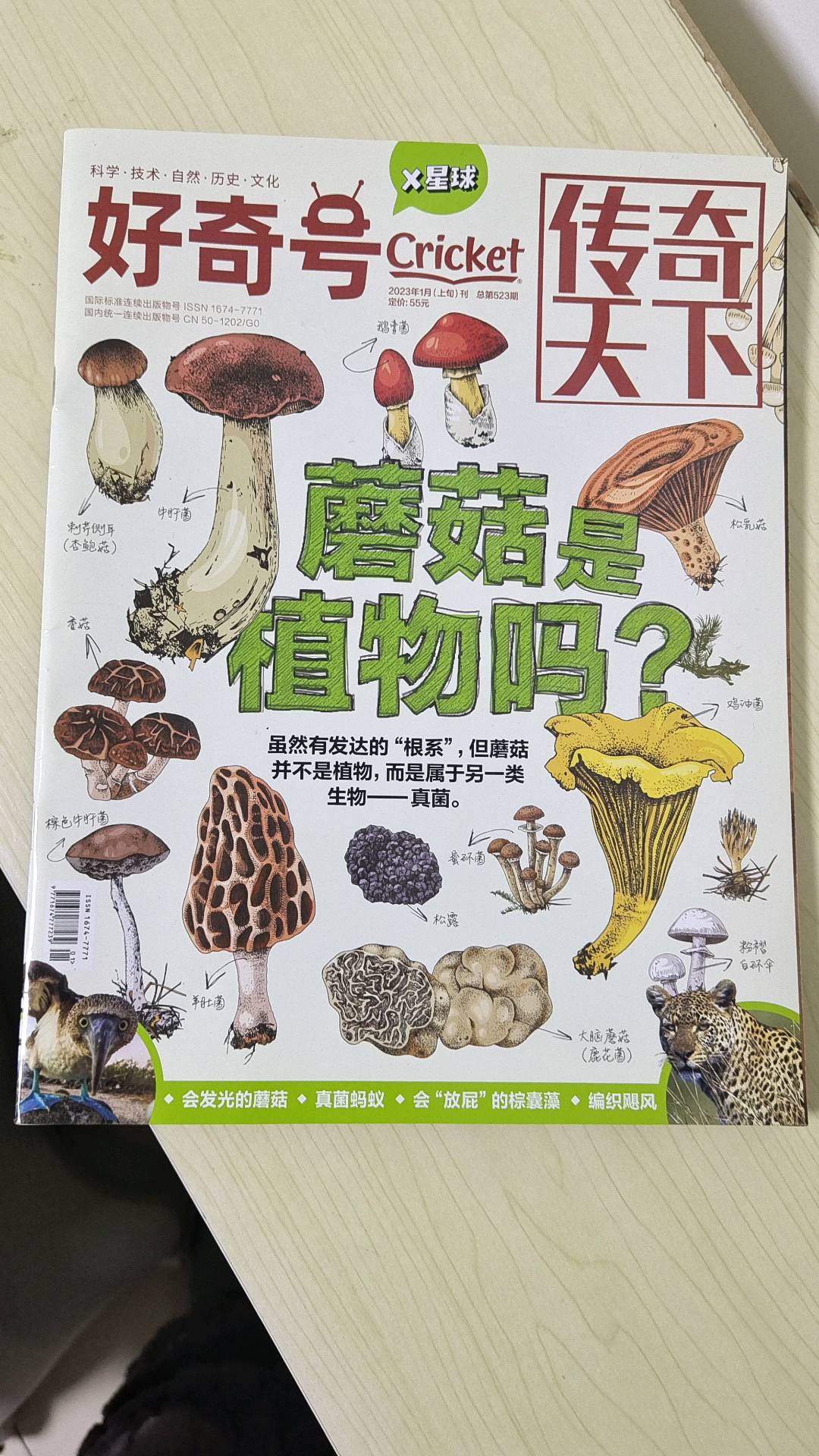 图像