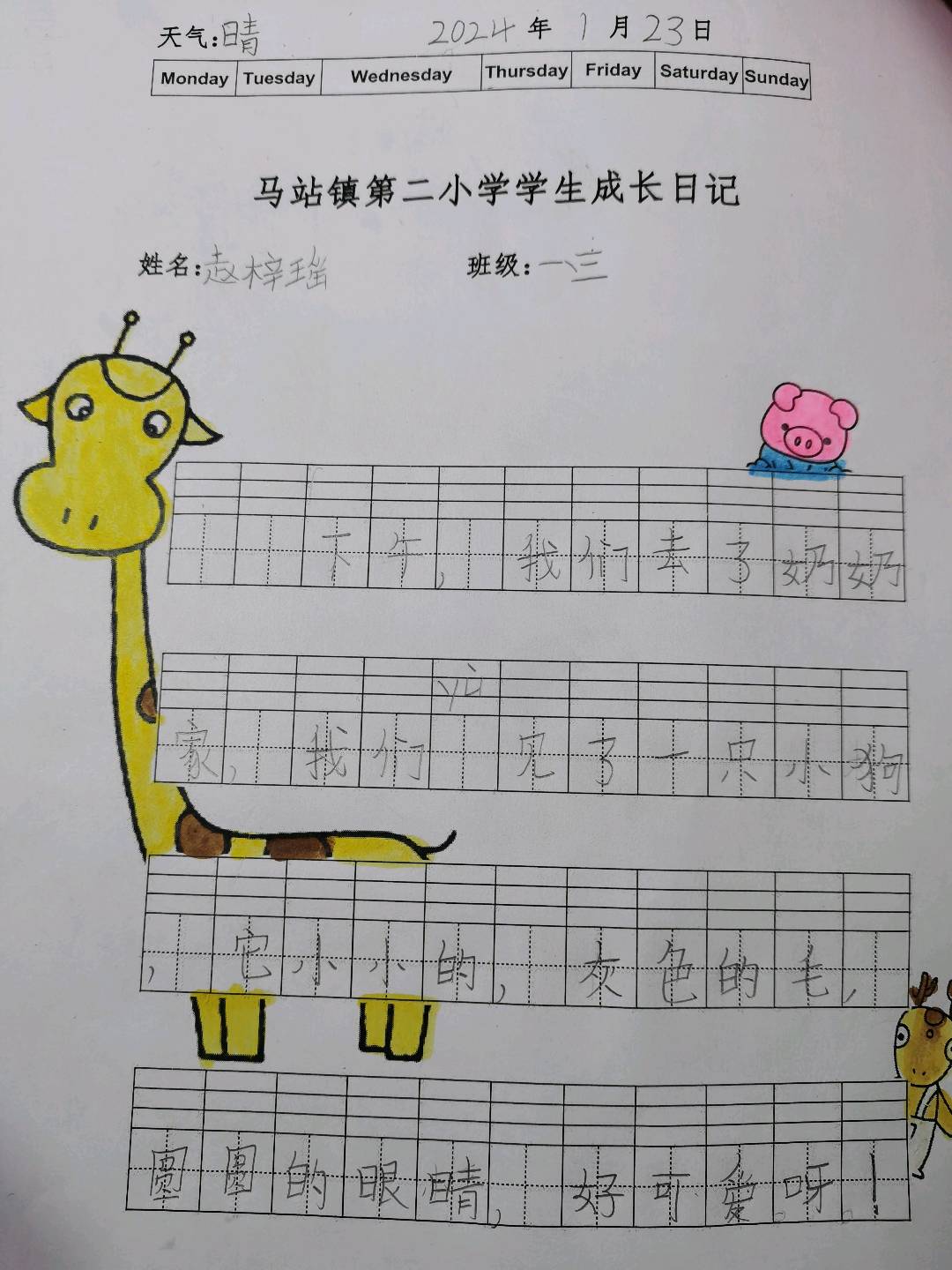 图像