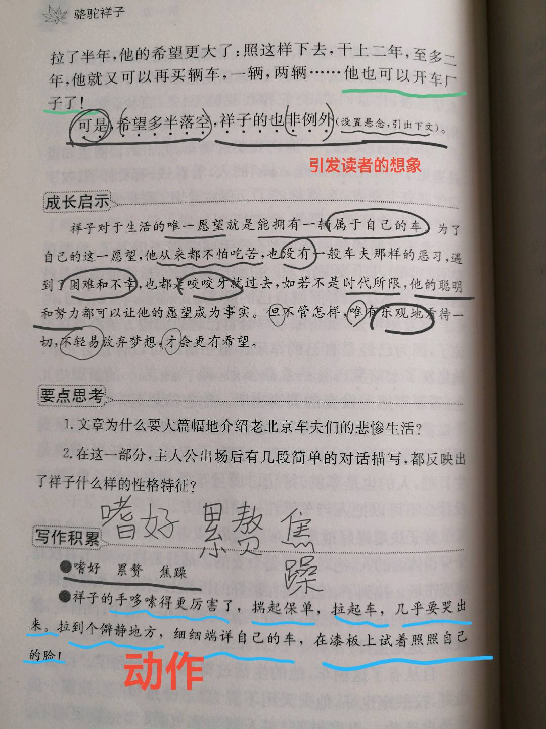 图像