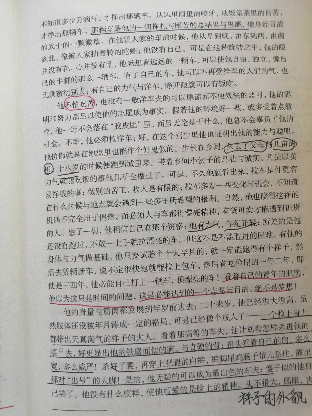 图像