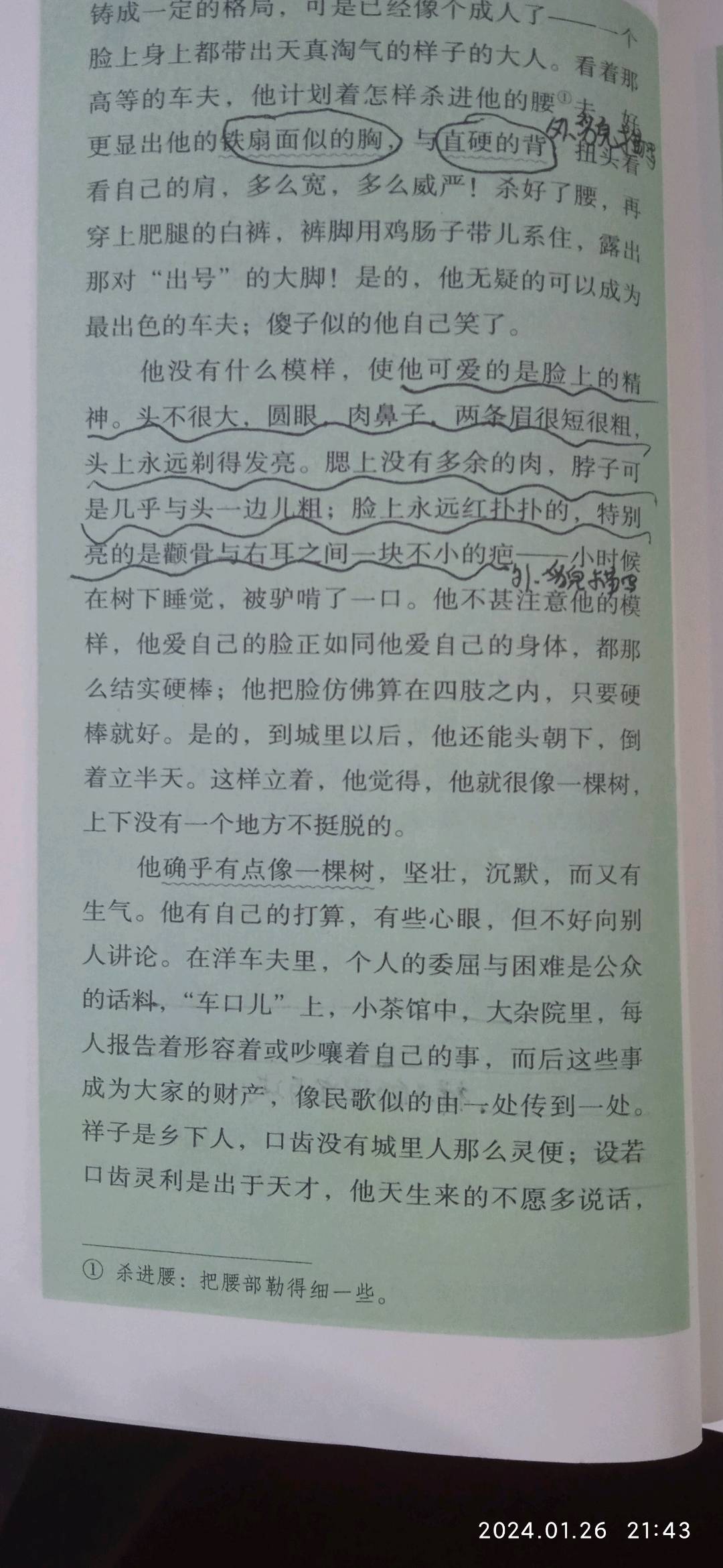 图像