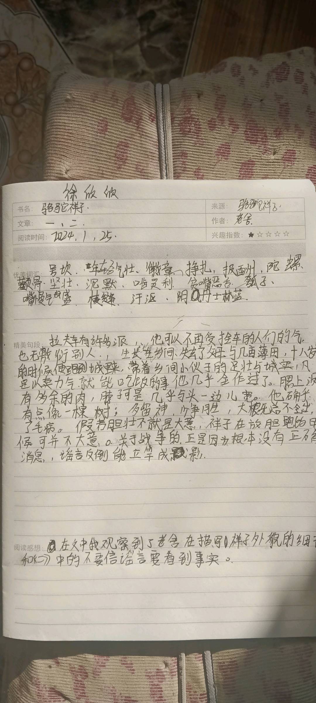 图像
