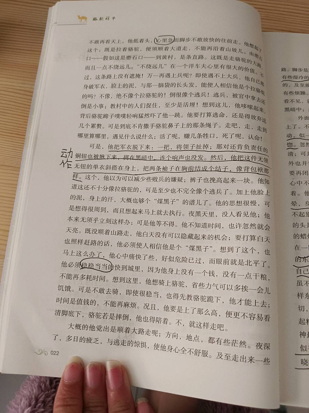 图像