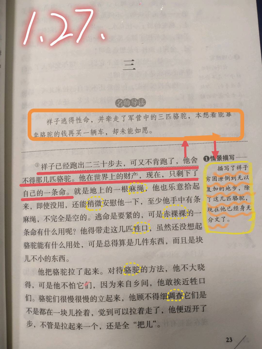 图像