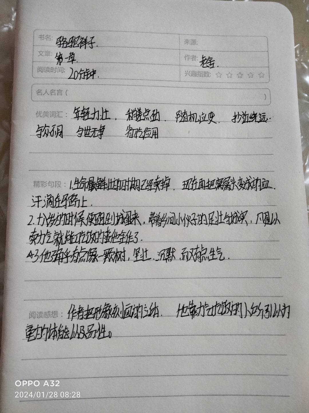 图像