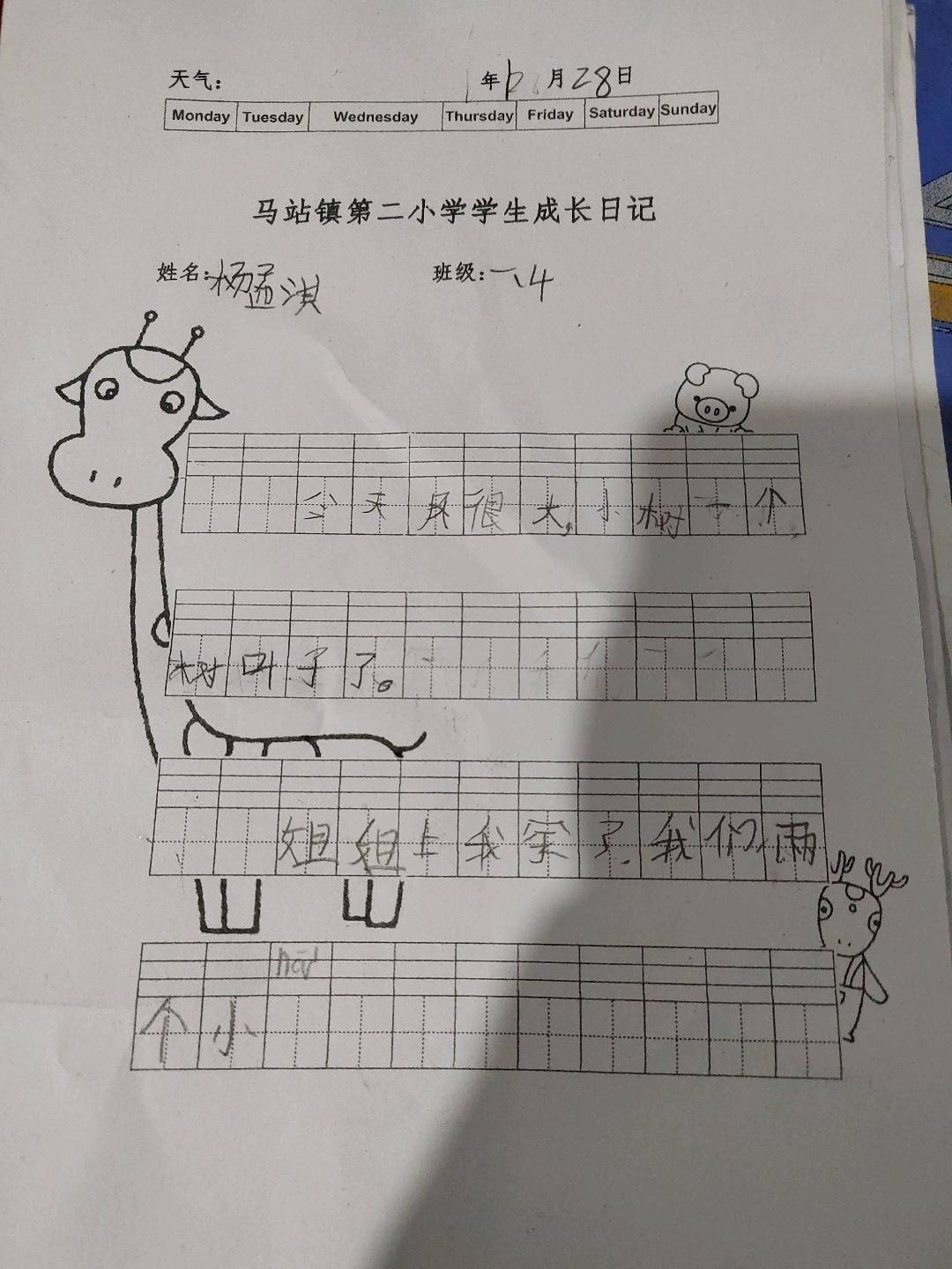 图像