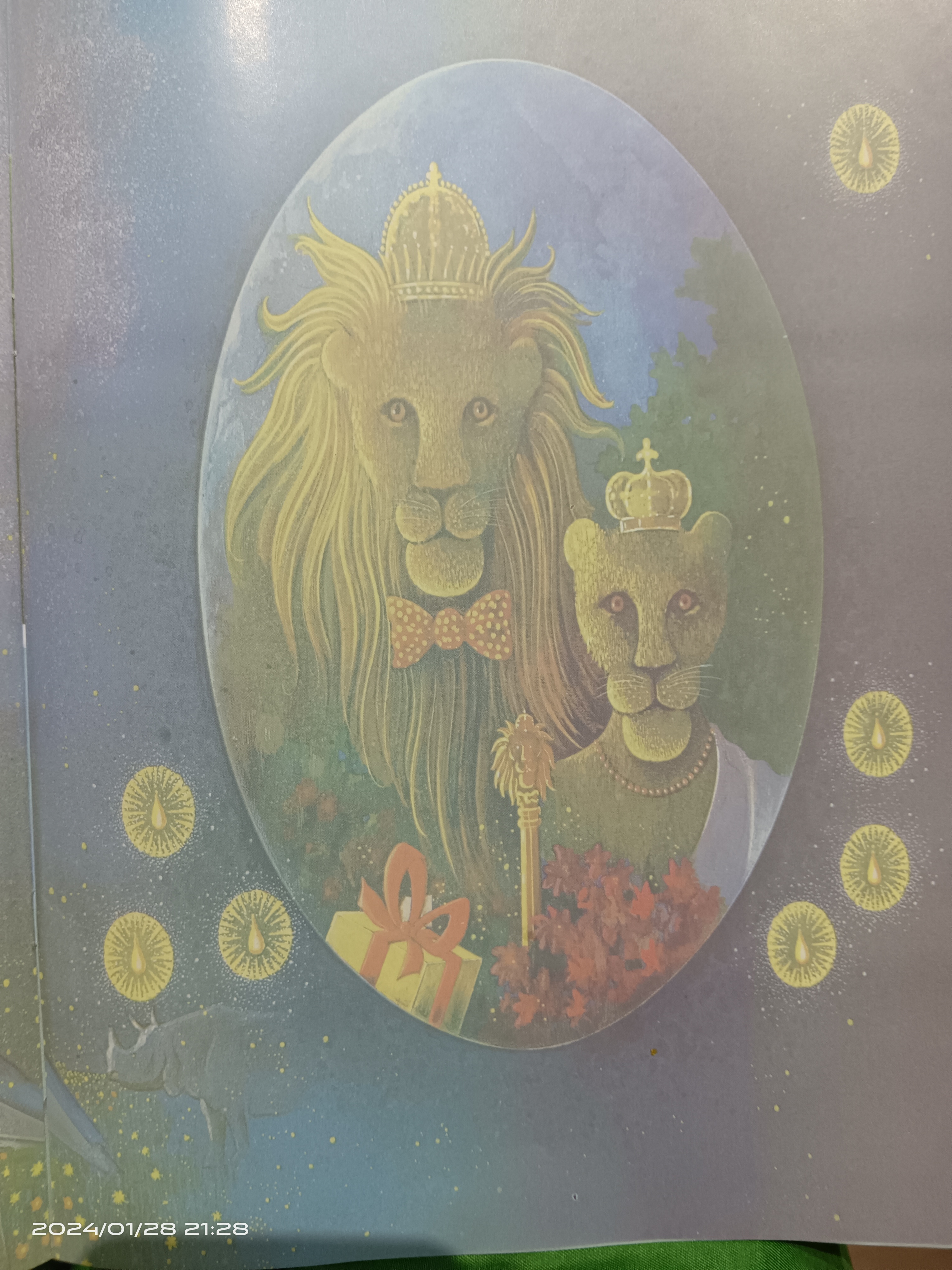 图像