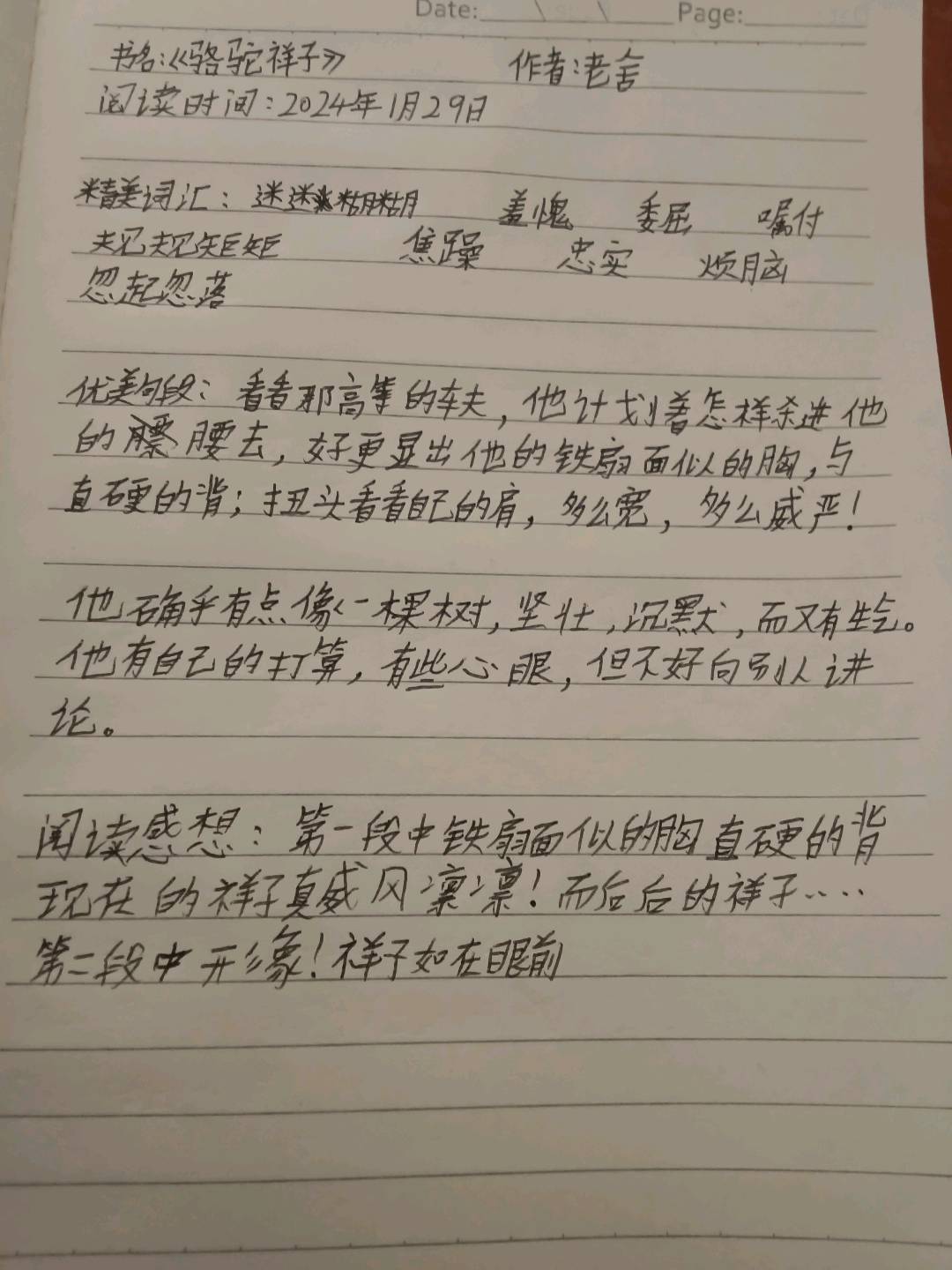 图像
