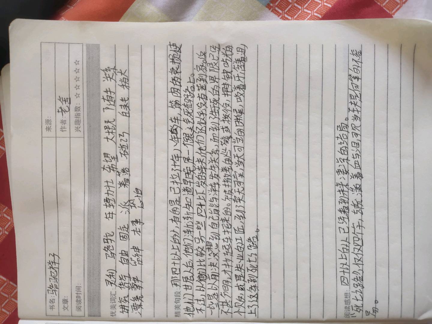 图像