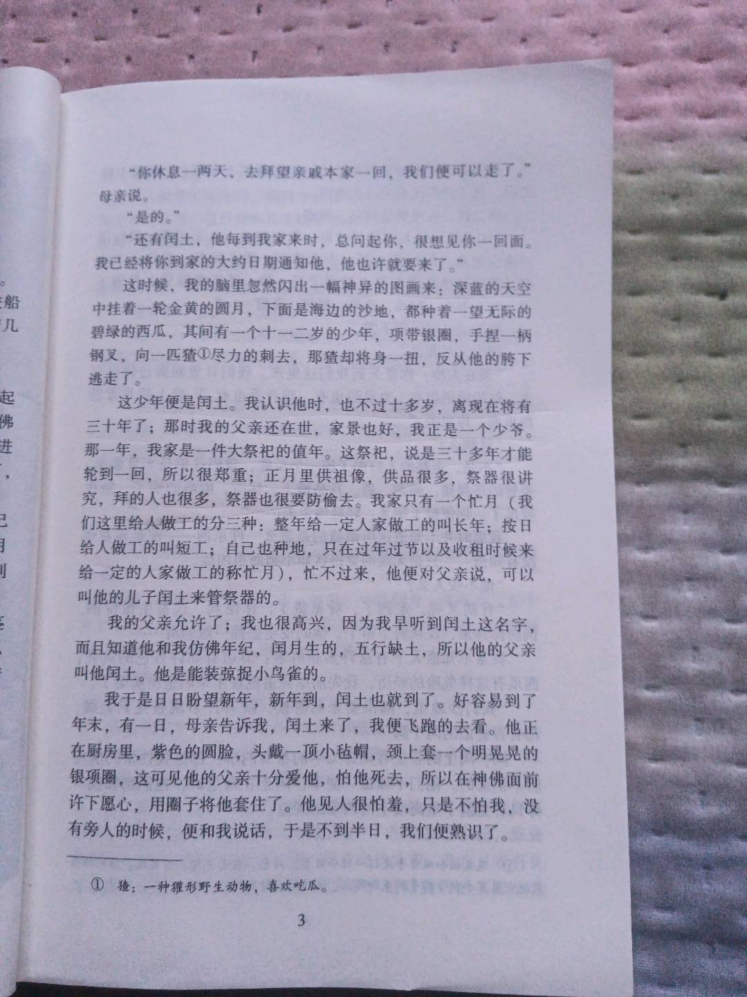图像