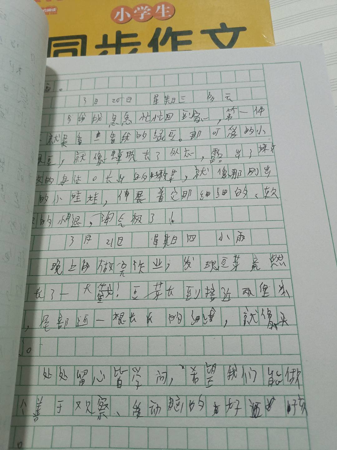 图像