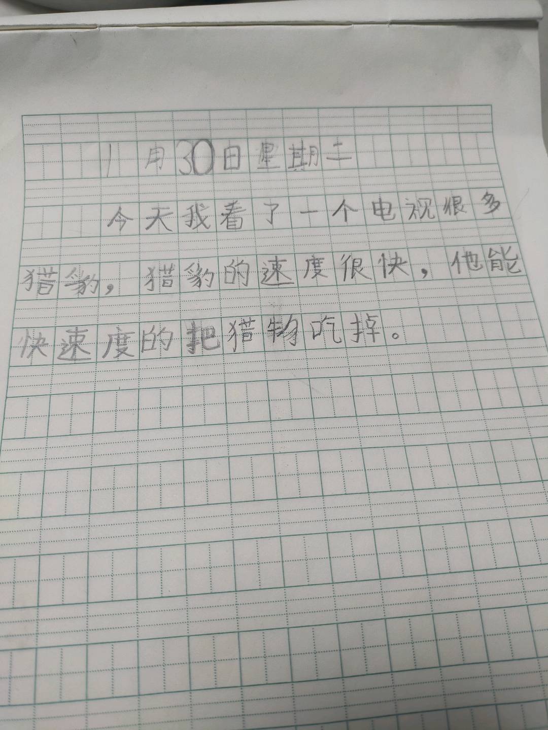 图像