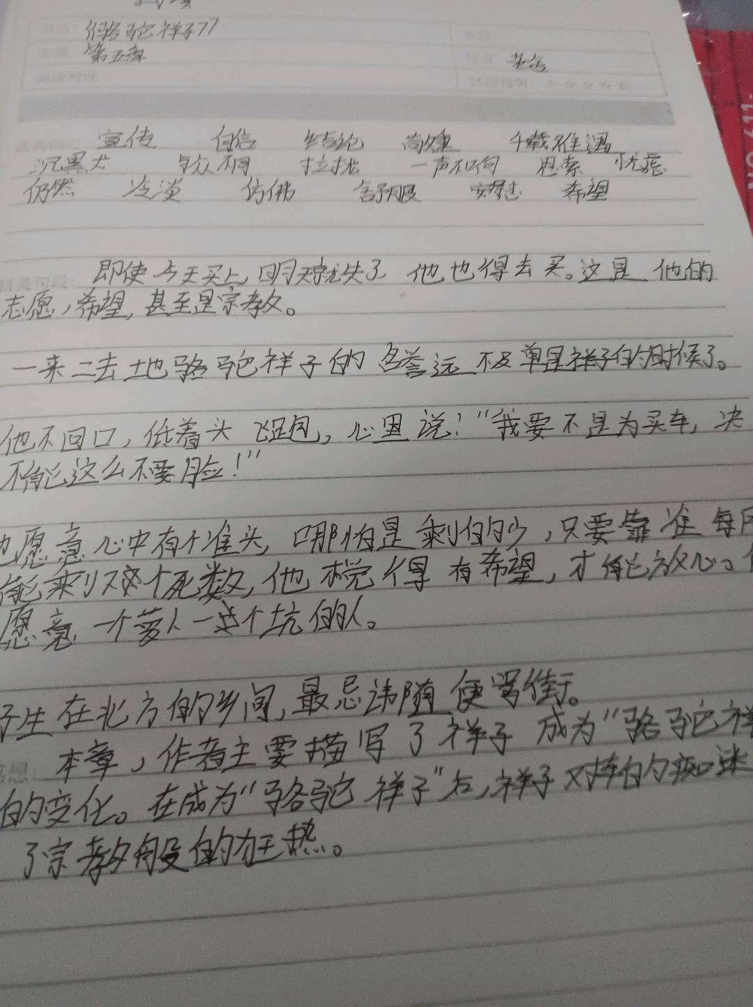 图像