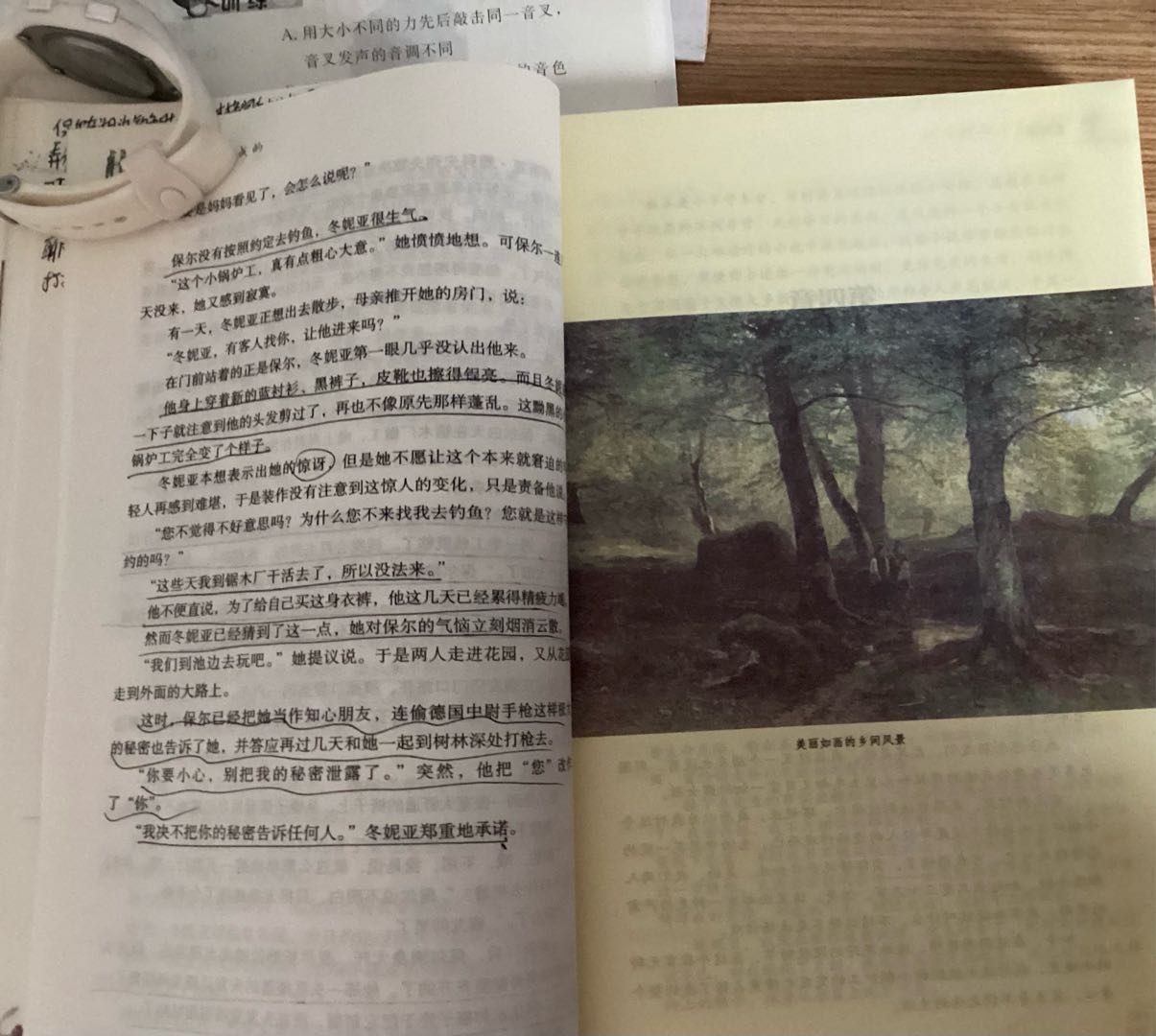 图像