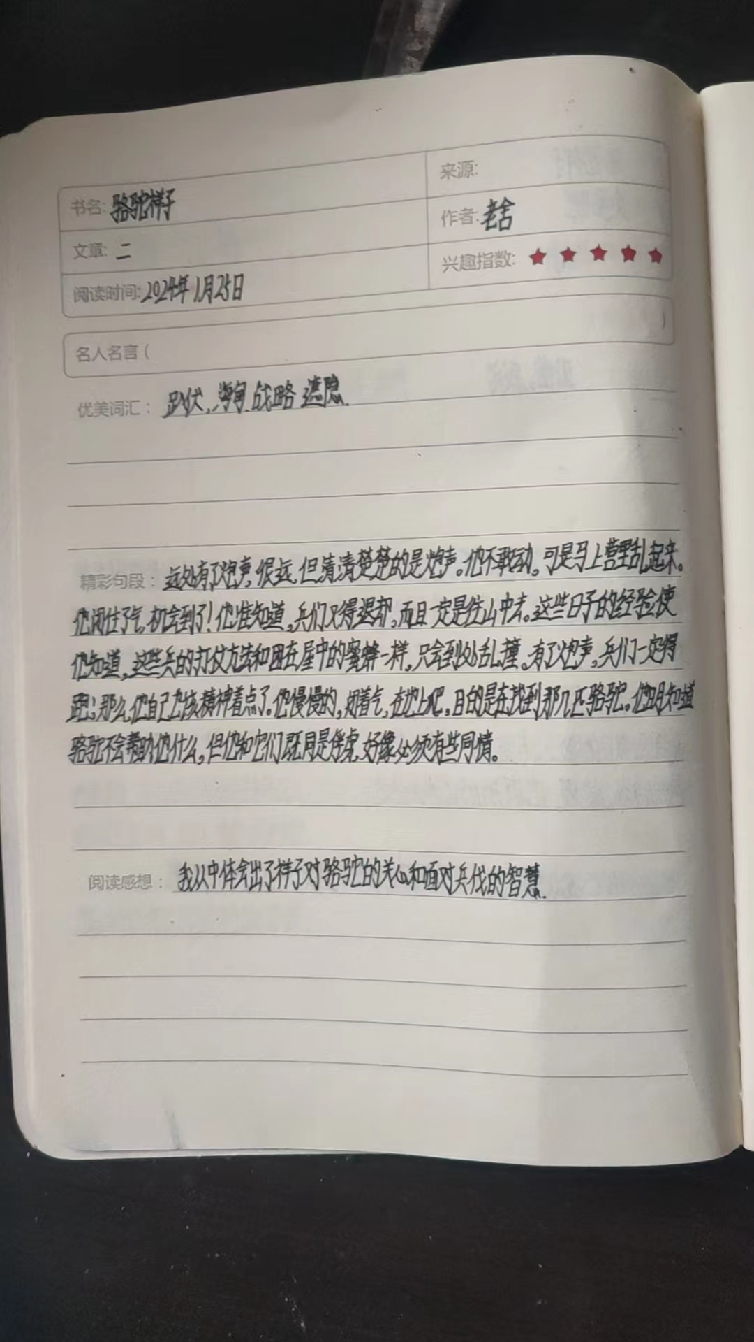 图像