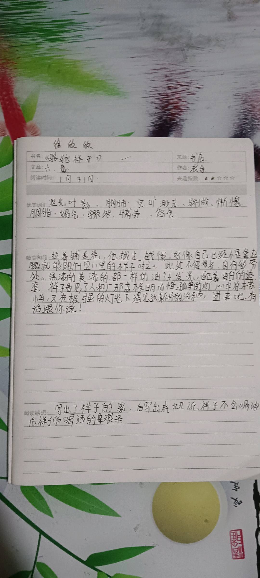 图像