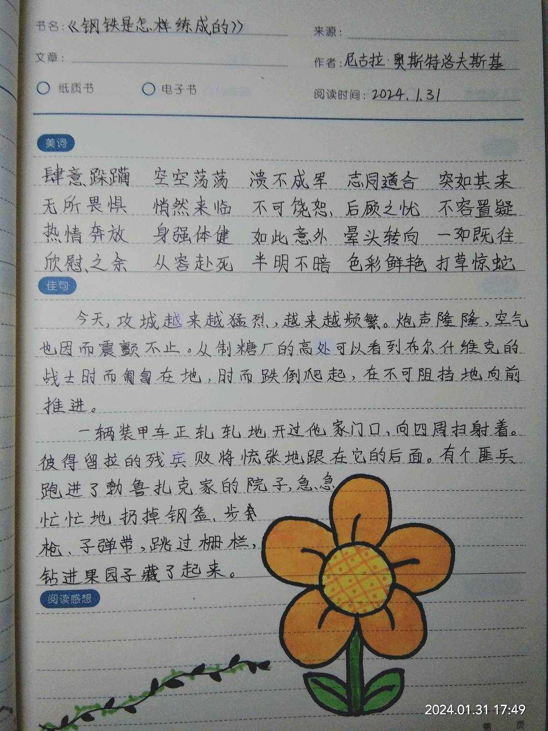 图像