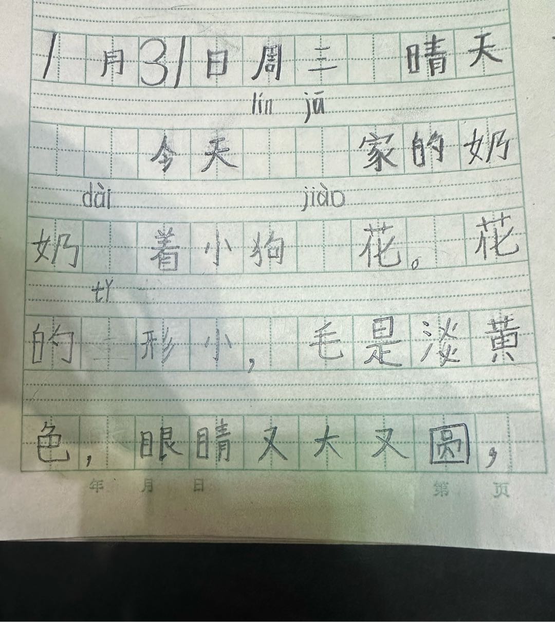 图像