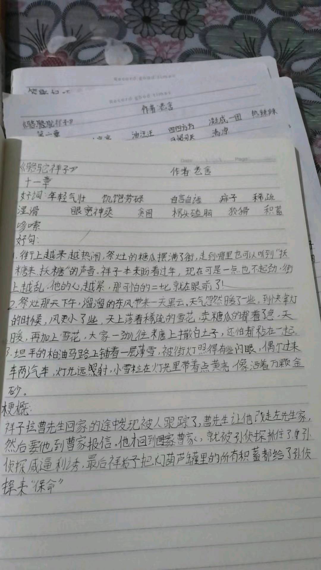 图像