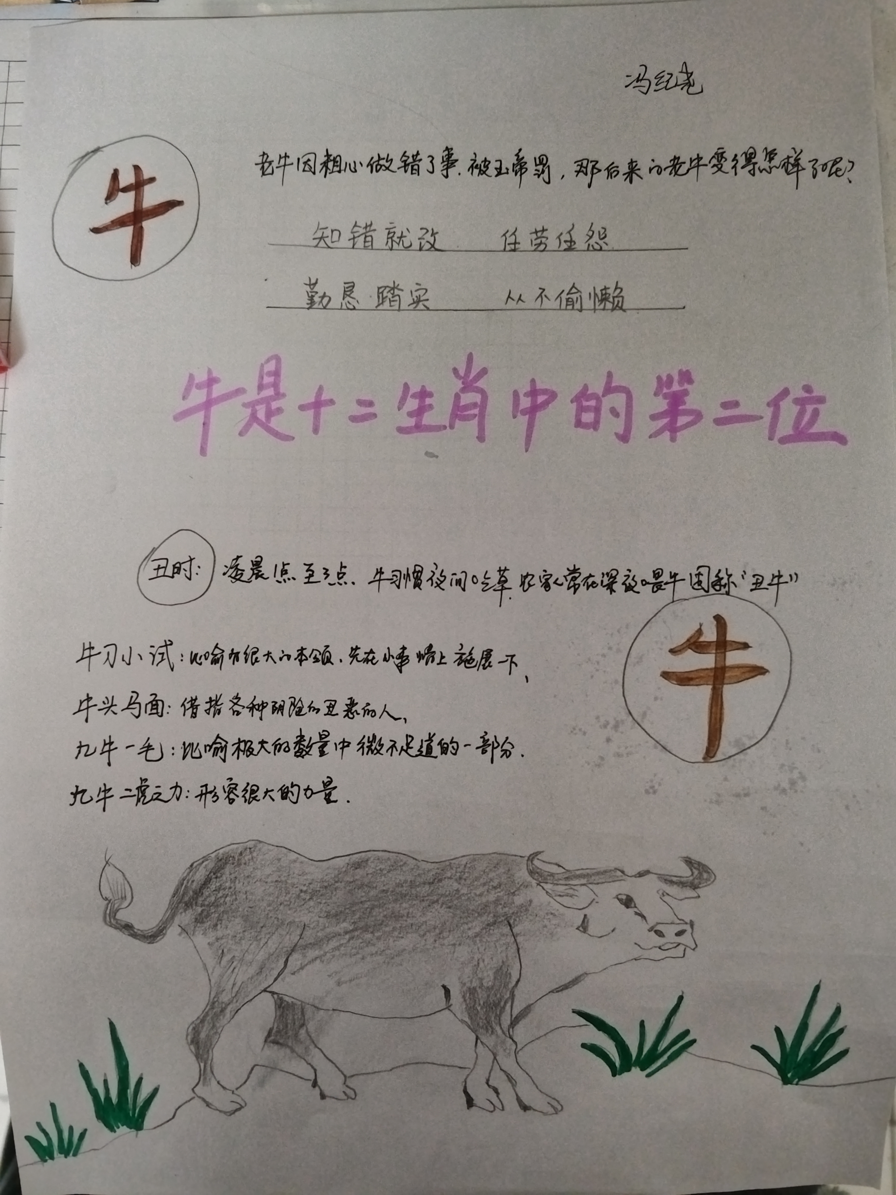 图像