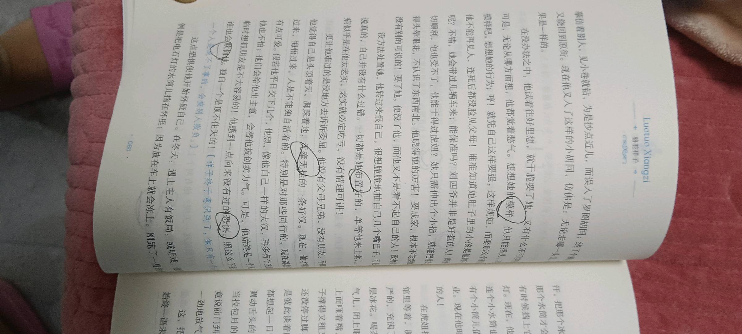 图像