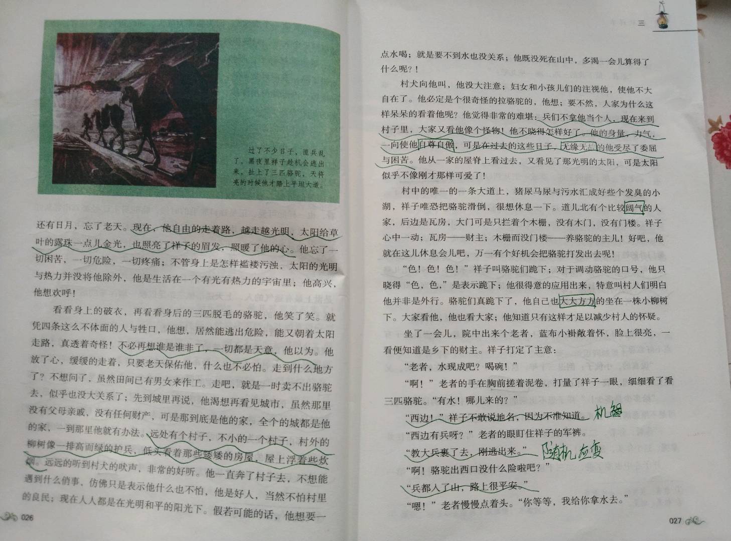 图像