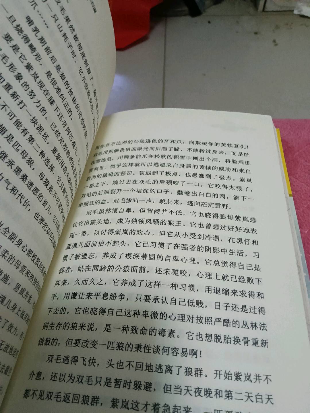 图像