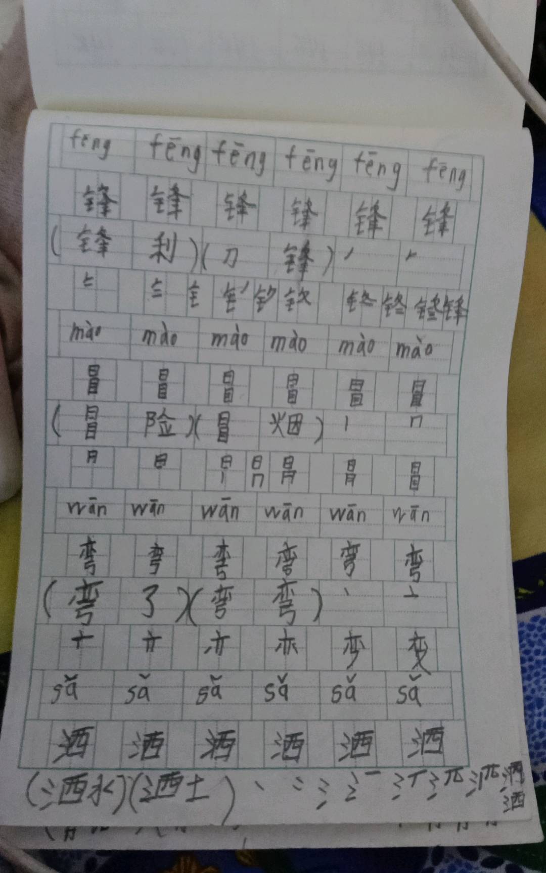 图像