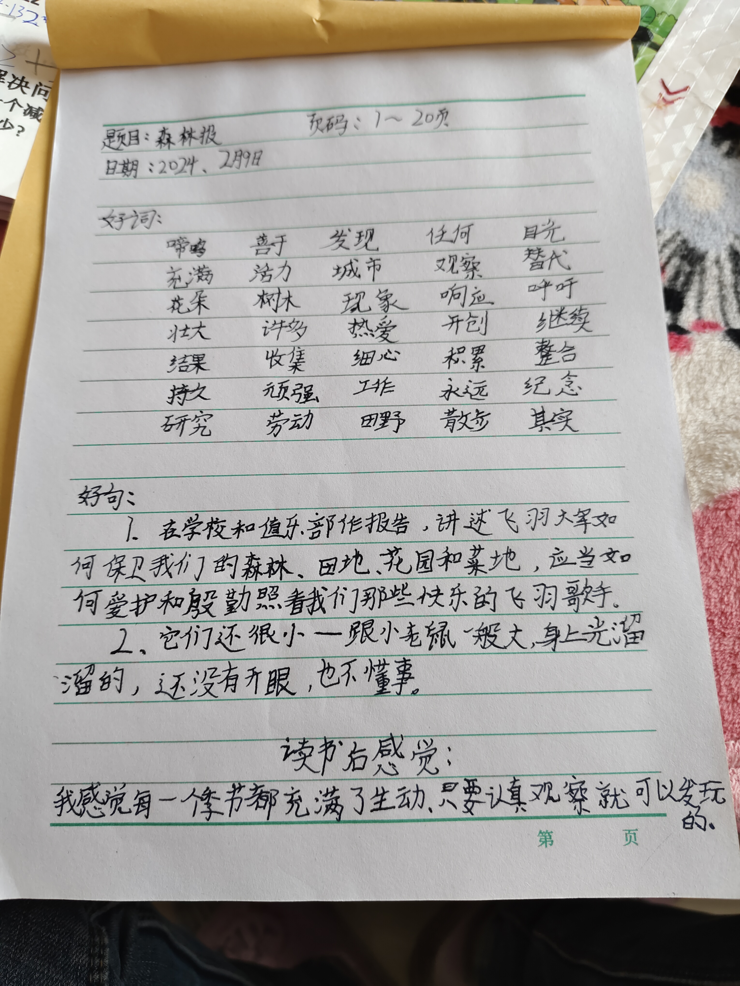 图像