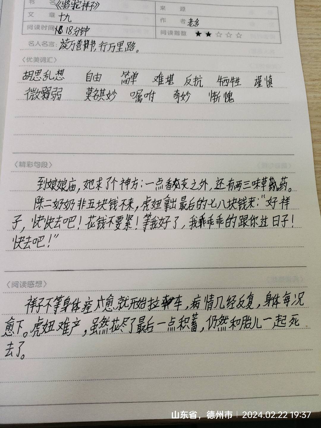 图像