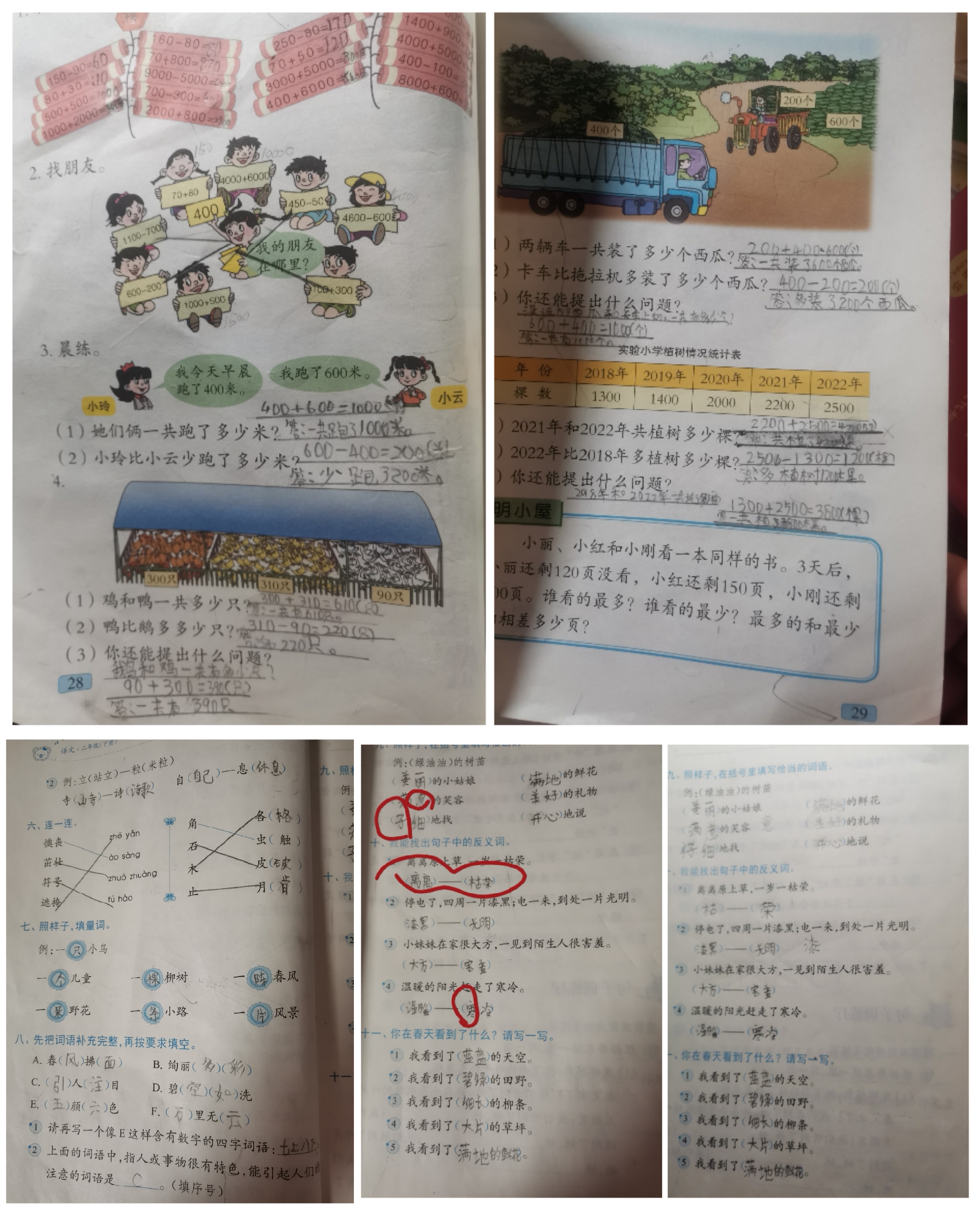 图像