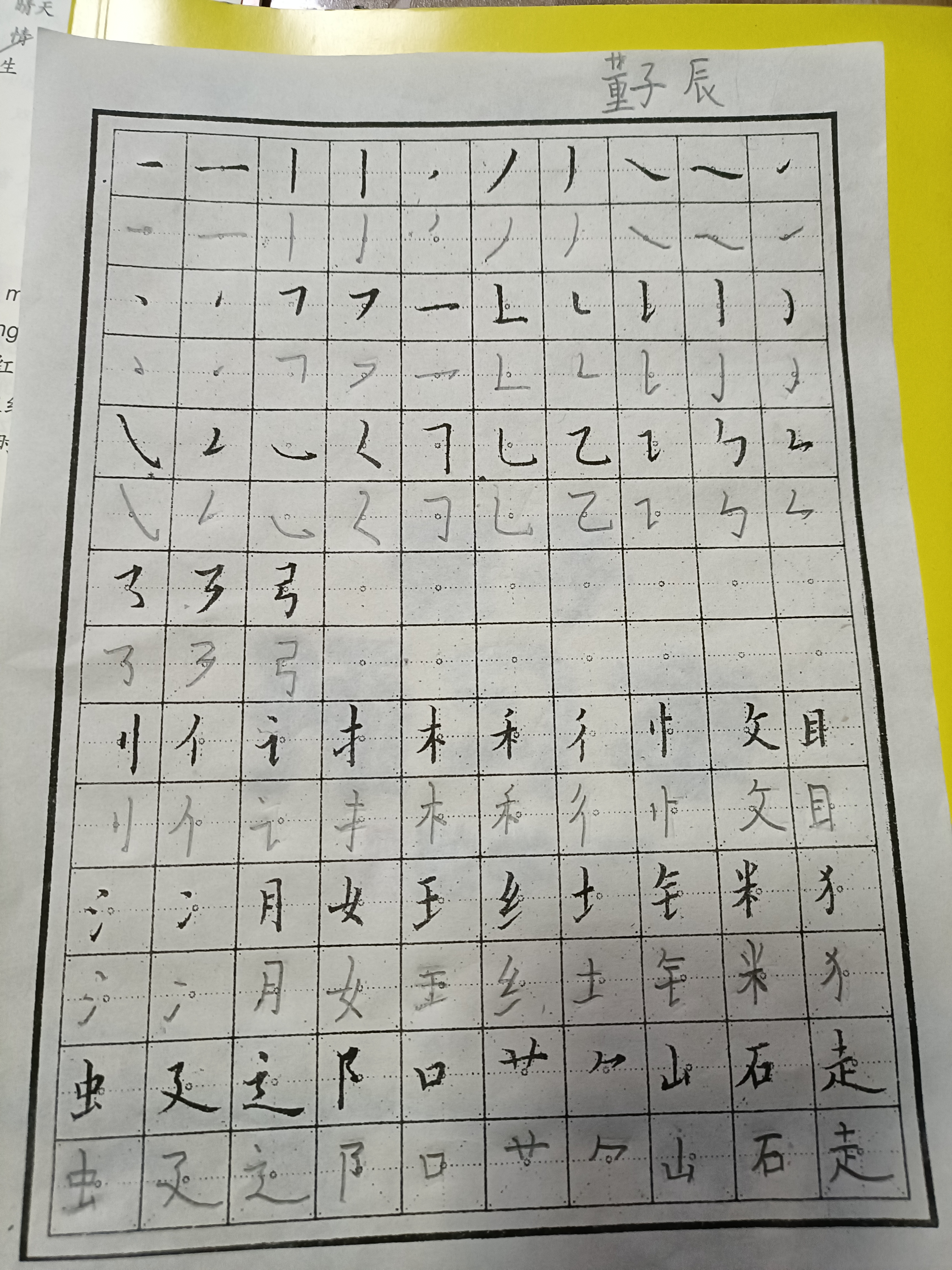 图像