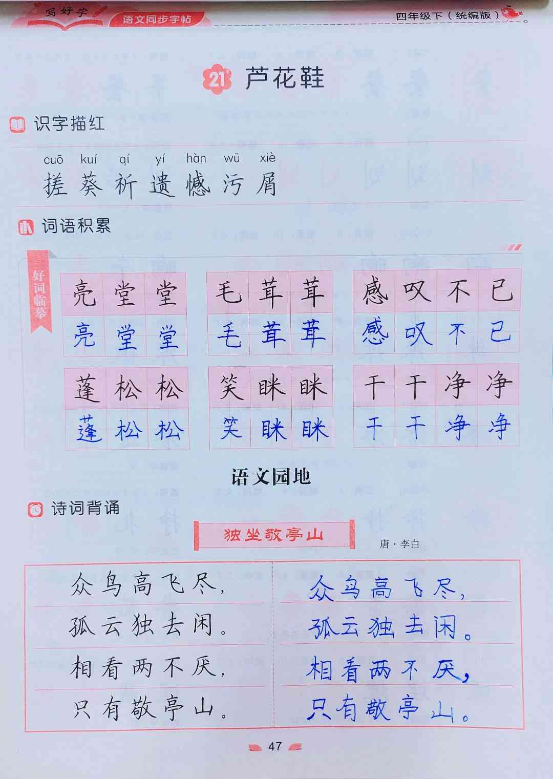 图像