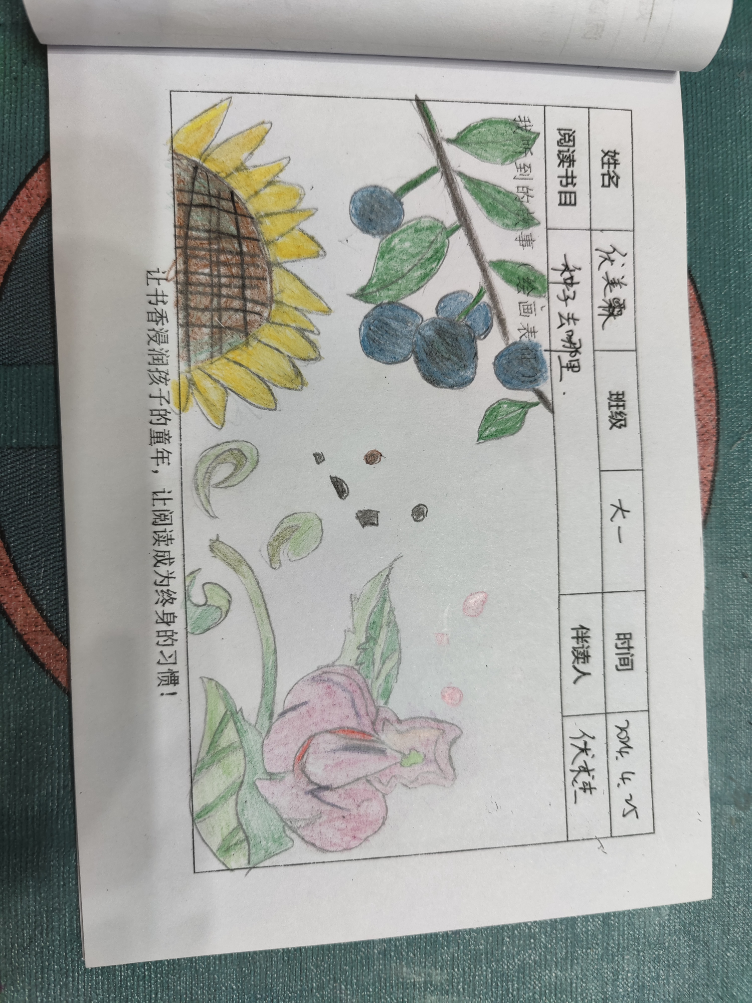图像