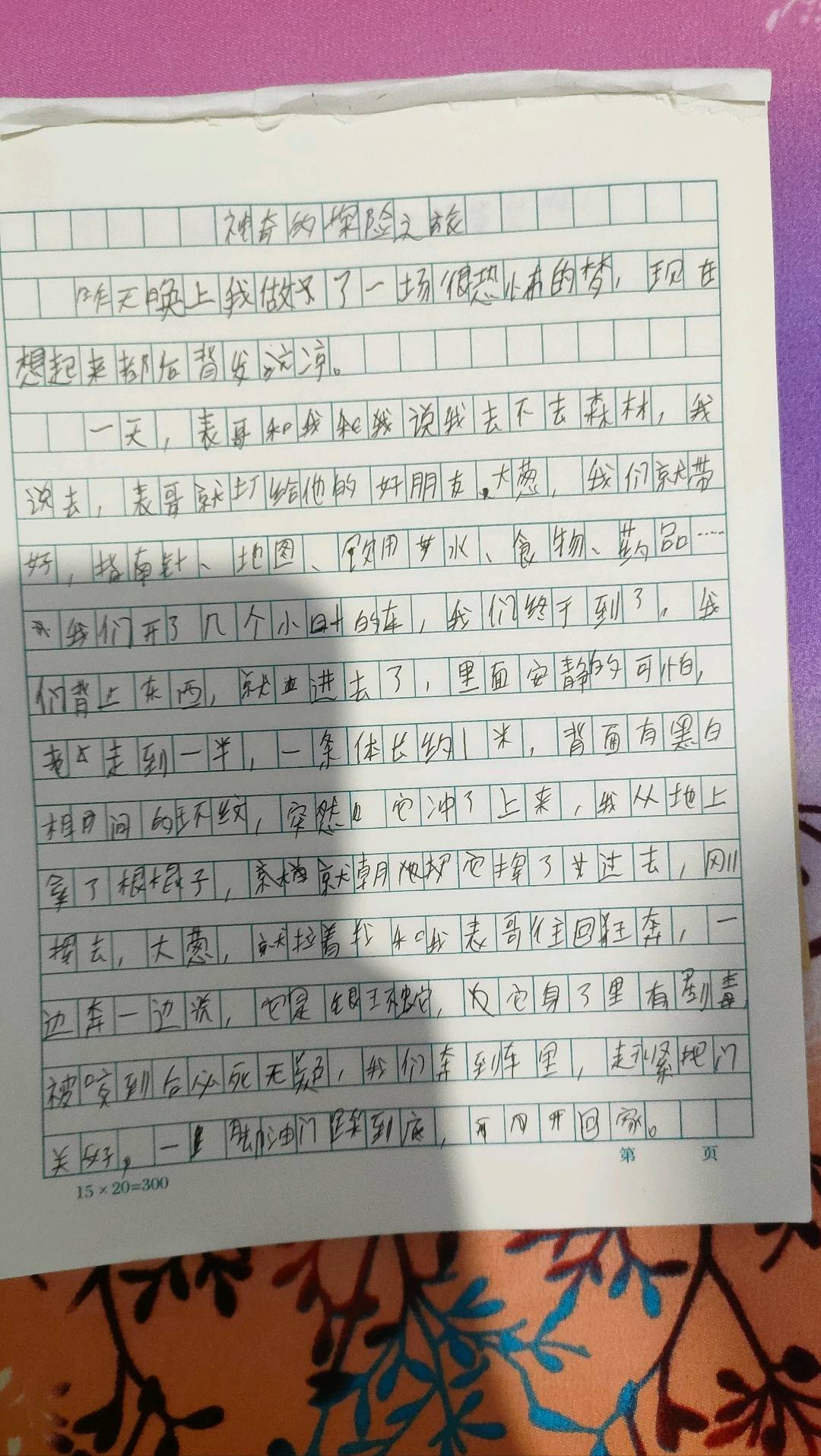 图像
