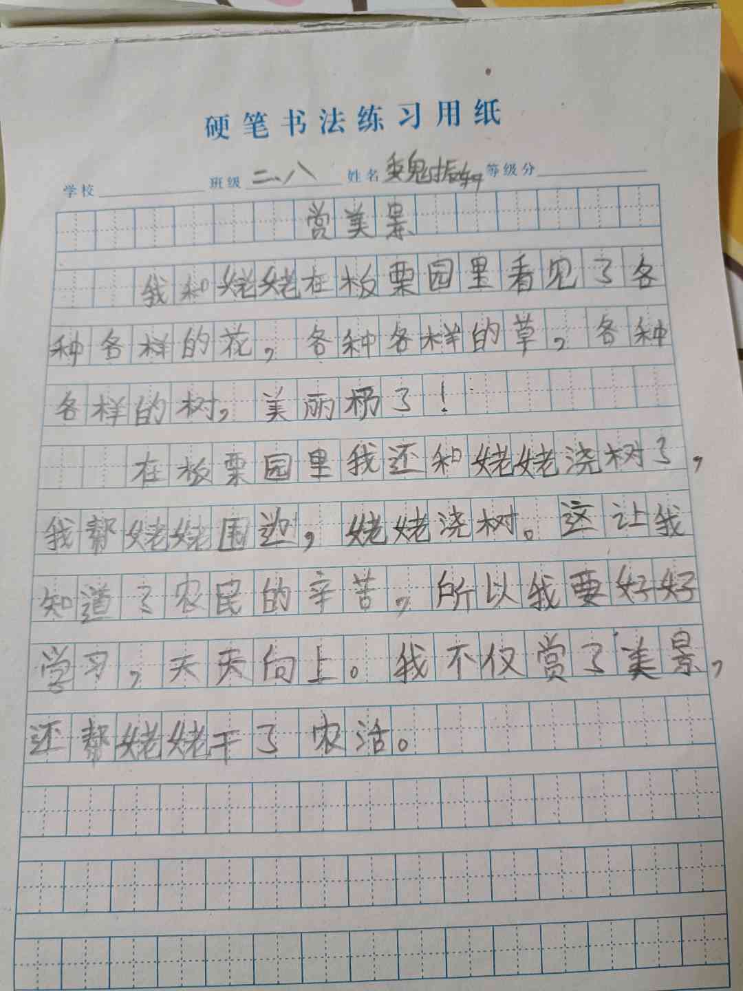 图像