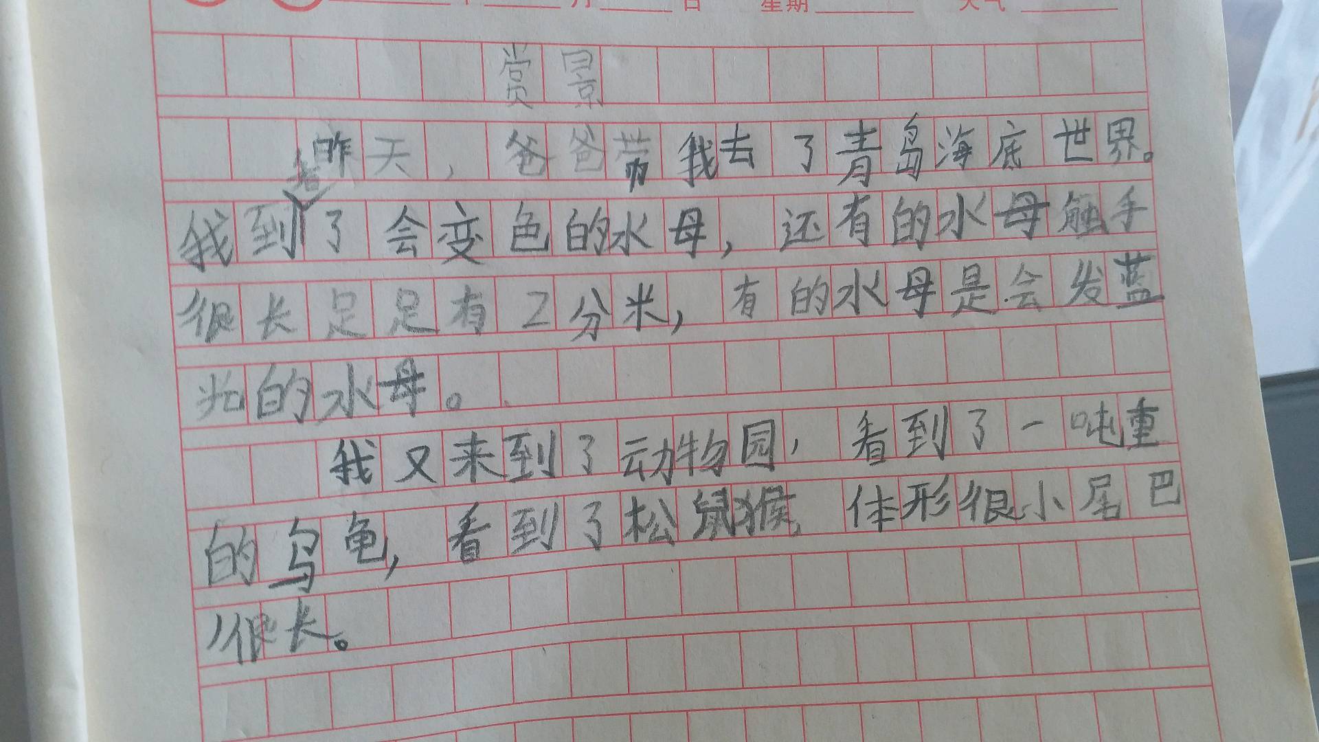 图像