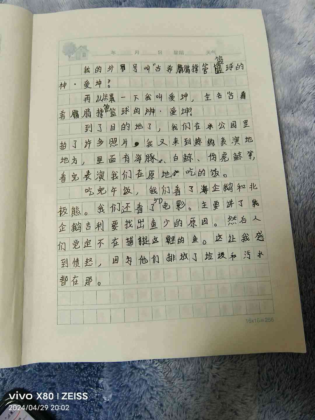图像