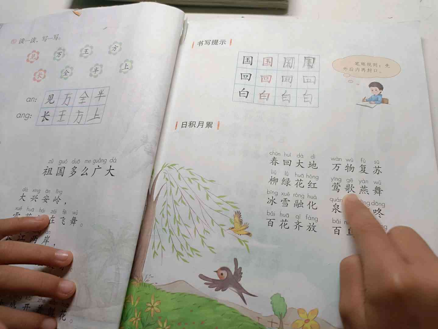 图像