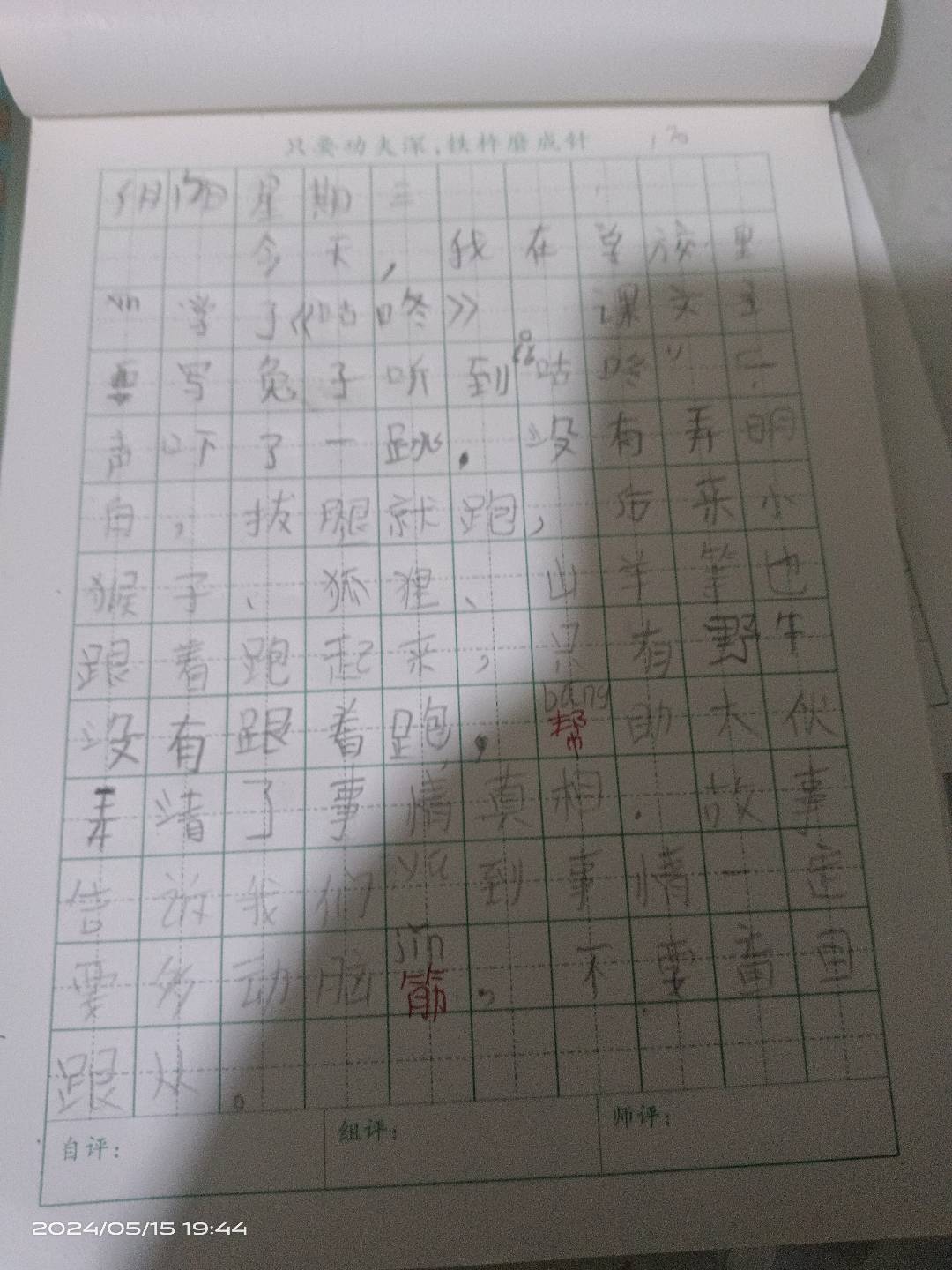 图像