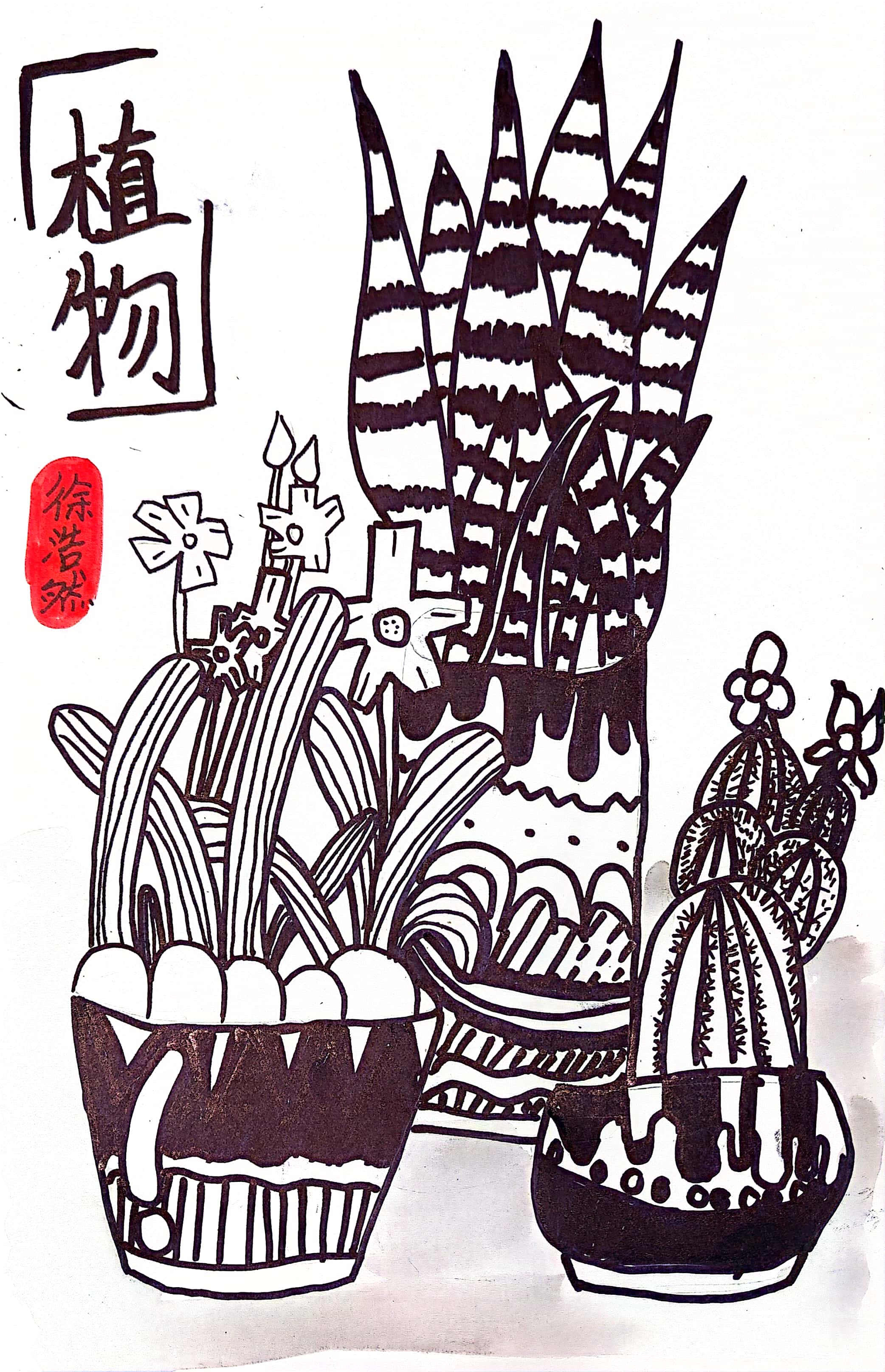 图像