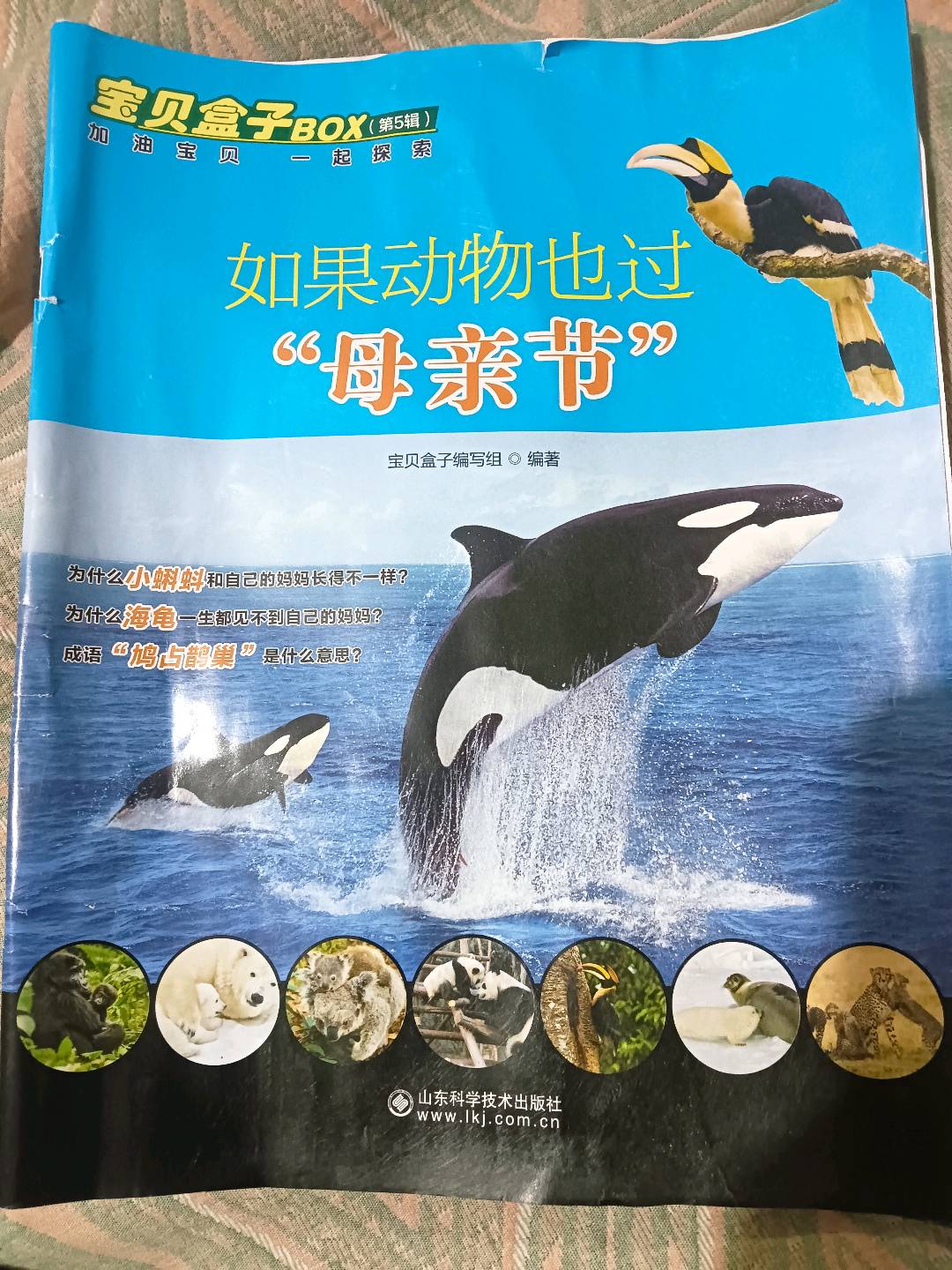 图像